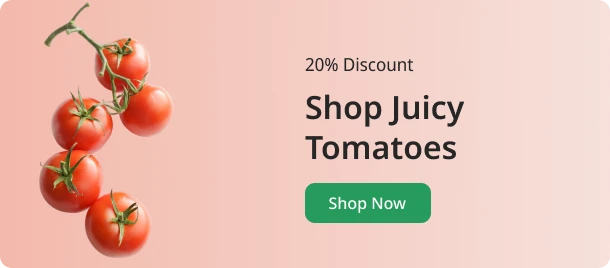 freshbursts.com