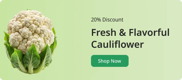 freshbursts.com