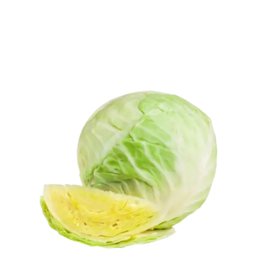 CABBAGE CABBAGE