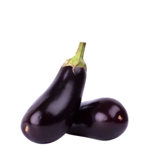 brinjal brinjal
