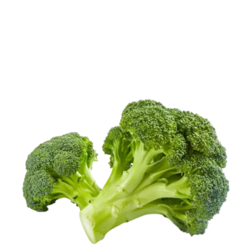 broccoli broccoli