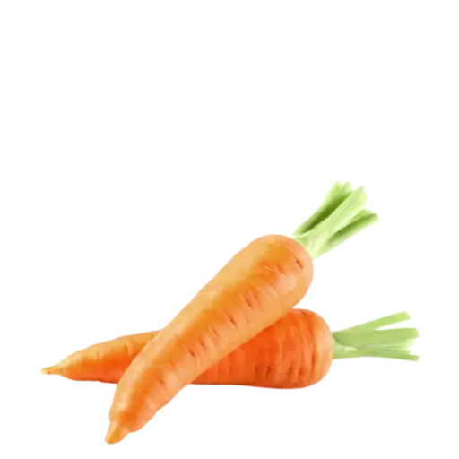 carrot