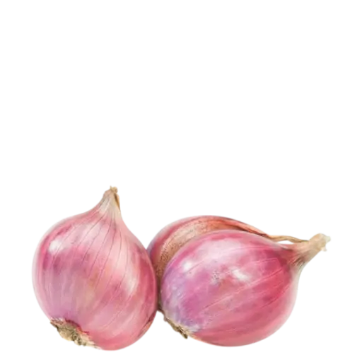 onion onion