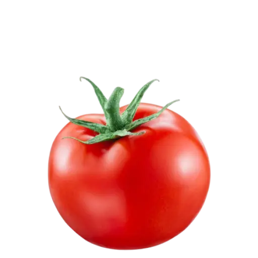 tomato tomato