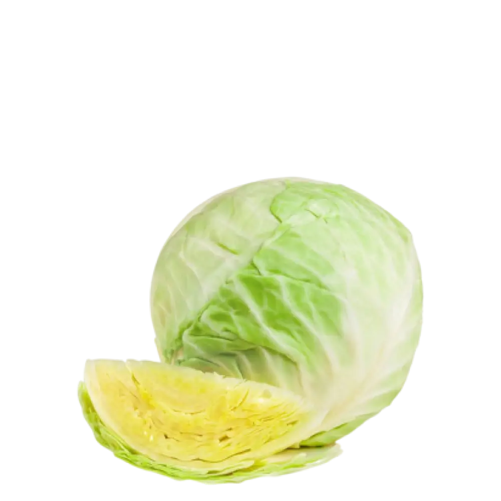 CABBAGE