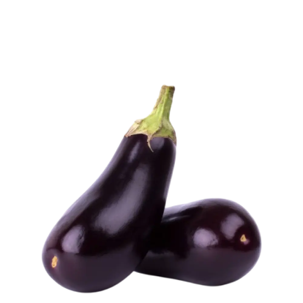 brinjal