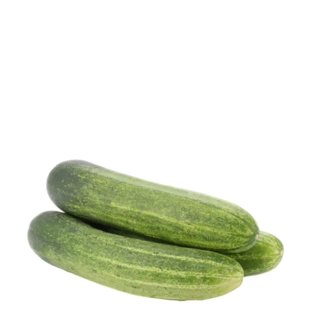 cucumber