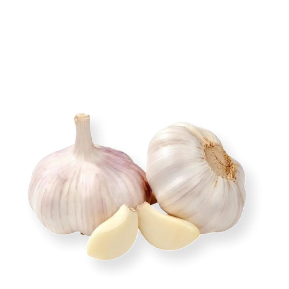 garlic