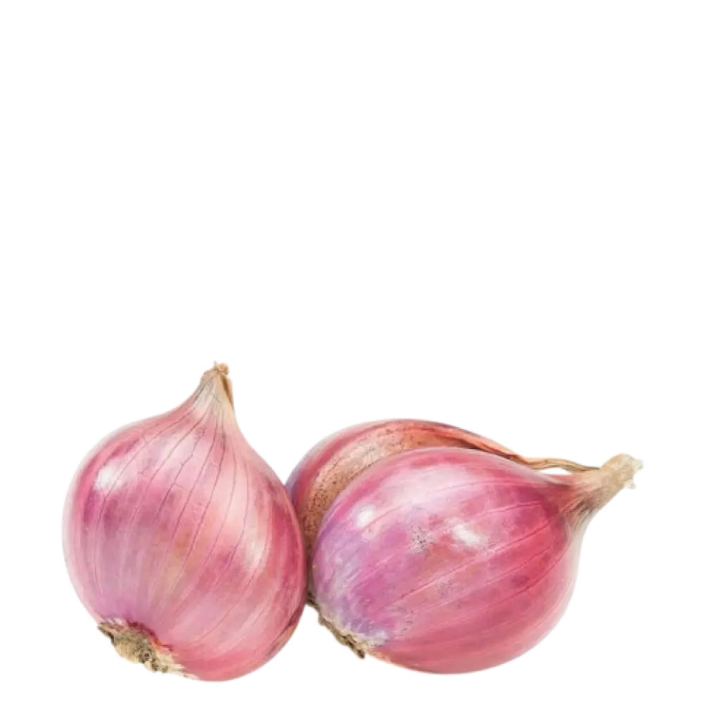 onion
