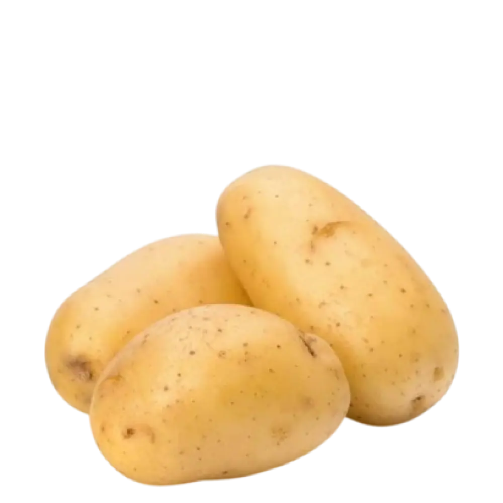 potato