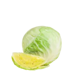 CABBAGE